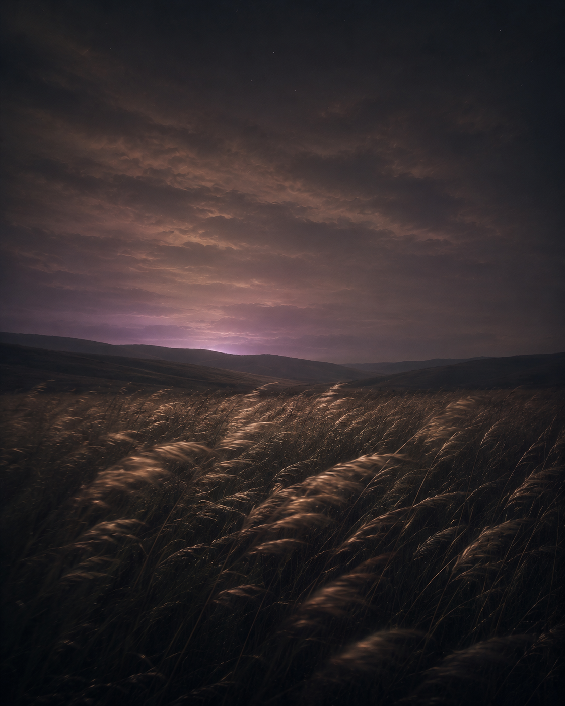 Wind moving through a field of grass